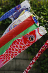 Koinobori na Dzień Dziecka