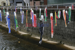 Koinobori na Dzień Dziecka