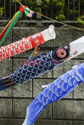 Koinobori na Dzień Dziecka
