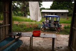 Konflikt w peruwiańskiej Amazonii pomiędzy Mennonitami a tubylcami - AFP
