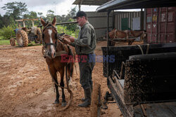 Konflikt w peruwiańskiej Amazonii pomiędzy Mennonitami a tubylcami - AFP