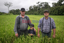 Konflikt w peruwiańskiej Amazonii pomiędzy Mennonitami a tubylcami - AFP