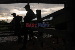 Konflikt w peruwiańskiej Amazonii pomiędzy Mennonitami a tubylcami - AFP