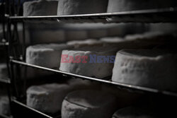 Produkcja sera camembert