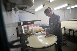 Produkcja sera camembert
