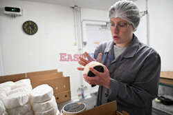 Produkcja sera camembert