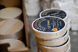 Produkcja sera camembert