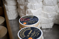 Produkcja sera camembert