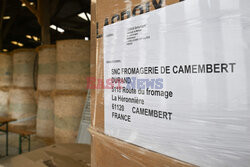 Produkcja sera camembert