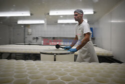 Produkcja sera camembert
