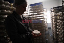 Produkcja sera camembert