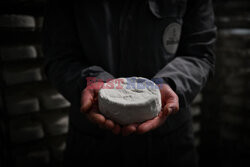Produkcja sera camembert