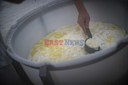 Produkcja sera camembert
