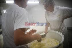 Produkcja sera camembert