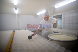 Produkcja sera camembert