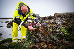 Destylarnia whisky na wyspie Harris