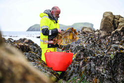 Destylarnia whisky na wyspie Harris