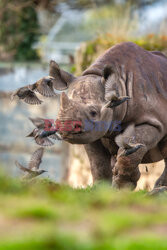 Sekretne życie w zoo