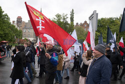 Marsz Polaków przeciwko imigracji w Gdańsku