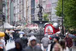 Wybory prezydenckie 2025 tuż tuż