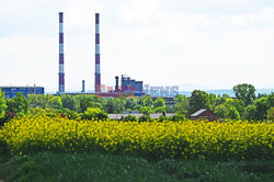 Małopolskie pola rzepakowe