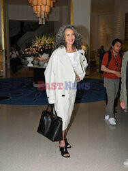 Andie MacDowell w Cannes