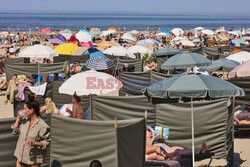 Parawany na plaży w Holandii