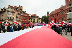 Finał kampanii Grzegorza Brauna pod Kolumną Zygmunta