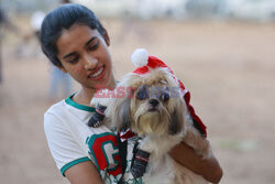 Świąteczne spotkanie zwierząt w Indiach