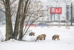 East News archiwum 2026