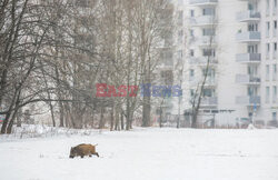 East News archiwum 2026