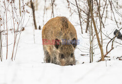 East News archiwum 2026