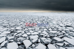 Grenlandia- Le Figaro