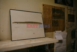 Człowiek-węgorz z Hancock