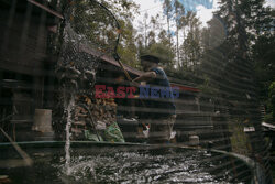 Człowiek-węgorz z Hancock