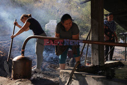 Produkcja mezcalu w Meksyku - AP