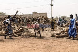 Współnota religijna Baye Fall w Senegalu - AFP
