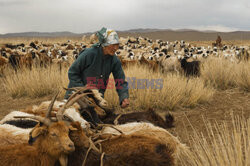 Mongolia- jeźdźcy stepowi- Le Figaro