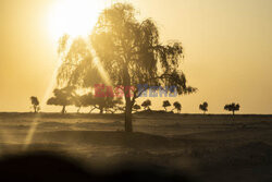 Oman- śladami Wilfreda Thesigera- Le Figaro