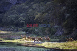 Oman- śladami Wilfreda Thesigera- Le Figaro