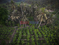 Oman- śladami Wilfreda Thesigera- Le Figaro