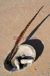 Stany Zjednoczone- Utah- Le Figaro