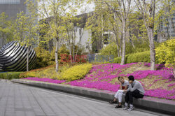 Korea Południowa- pokolenie Z- Le Figaro