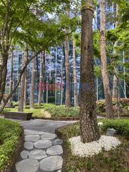 Korea Południowa- pokolenie Z- Le Figaro