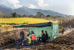Wpływ zmian klimatycznych na społeczeństwo w Gwatemali - Redux
