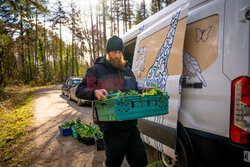 Unikalny szczaw nadmorski wraca na wyspę Anglesey - Cover Images