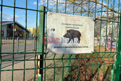 East News archiwum 2026