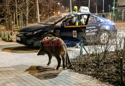 East News archiwum 2026