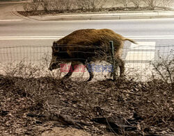 East News archiwum 2026