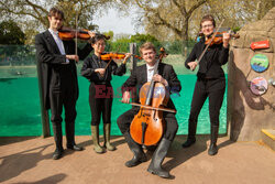 Pingwiny przyszły na koncert